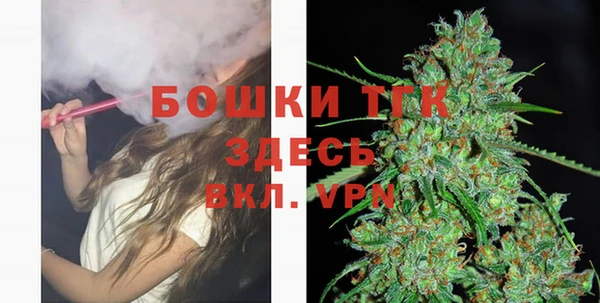 шишки Верея